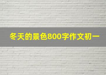 冬天的景色800字作文初一