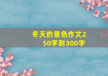 冬天的景色作文250字到300字