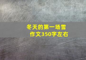 冬天的第一场雪作文350字左右