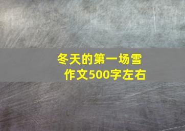 冬天的第一场雪作文500字左右