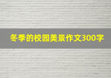 冬季的校园美景作文300字