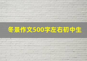 冬景作文500字左右初中生