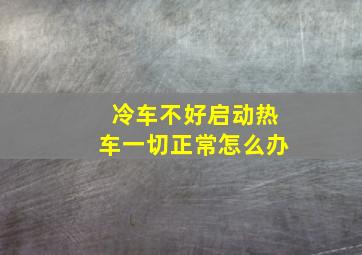 冷车不好启动热车一切正常怎么办