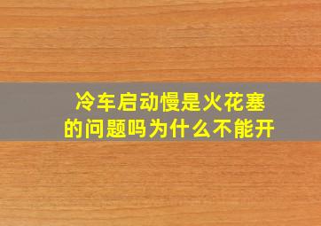 冷车启动慢是火花塞的问题吗为什么不能开