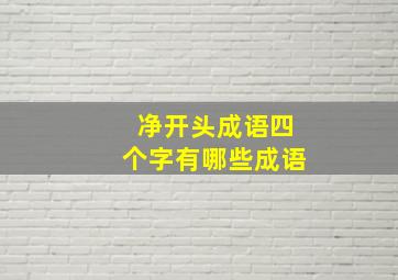 净开头成语四个字有哪些成语