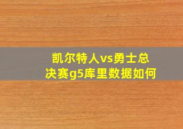 凯尔特人vs勇士总决赛g5库里数据如何