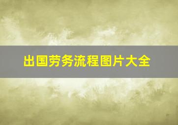 出国劳务流程图片大全