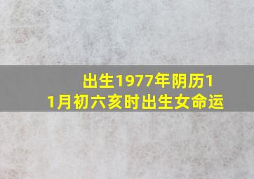 出生1977年阴历11月初六亥时出生女命运