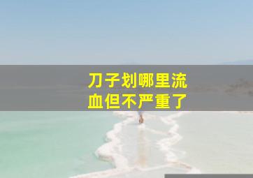 刀子划哪里流血但不严重了