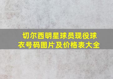 切尔西明星球员现役球衣号码图片及价格表大全