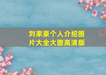 刘家豪个人介绍图片大全大图高清版