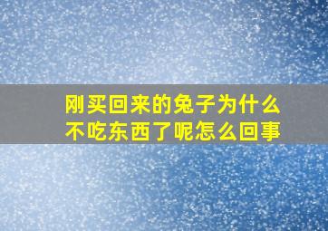 刚买回来的兔子为什么不吃东西了呢怎么回事