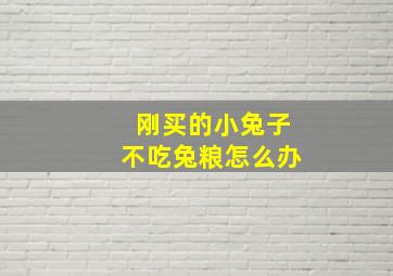 刚买的小兔子不吃兔粮怎么办