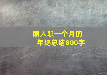 刚入职一个月的年终总结800字