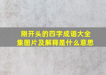 刚开头的四字成语大全集图片及解释是什么意思