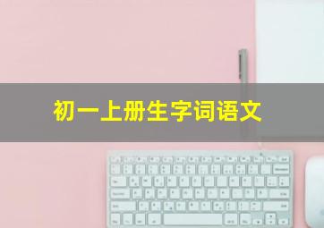 初一上册生字词语文