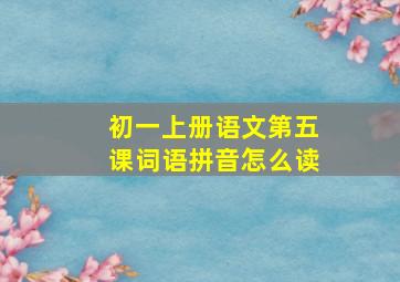 初一上册语文第五课词语拼音怎么读