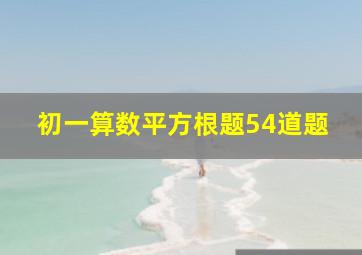 初一算数平方根题54道题