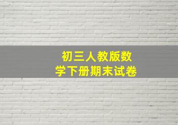 初三人教版数学下册期末试卷