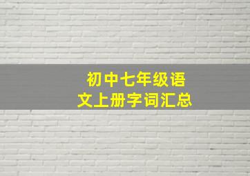 初中七年级语文上册字词汇总