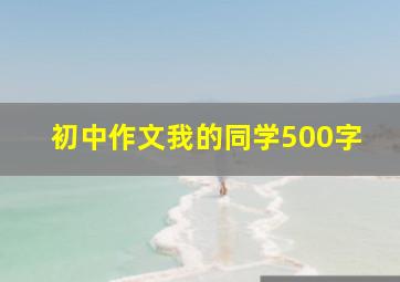 初中作文我的同学500字