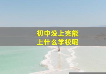 初中没上完能上什么学校呢