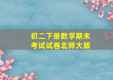 初二下册数学期末考试试卷北师大版