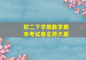 初二下学期数学期末考试卷北师大版