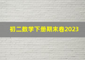 初二数学下册期末卷2023