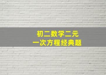 初二数学二元一次方程经典题