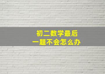 初二数学最后一题不会怎么办