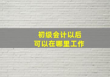 初级会计以后可以在哪里工作