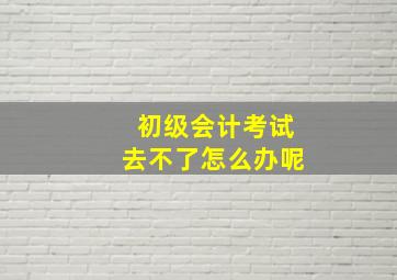 初级会计考试去不了怎么办呢