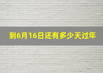 到6月16日还有多少天过年