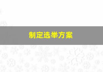 制定选举方案