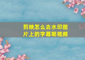 剪映怎么去水印图片上的字幕呢视频