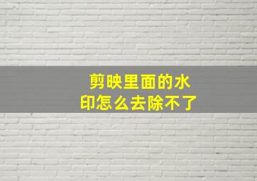 剪映里面的水印怎么去除不了