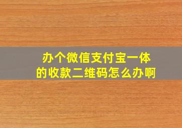 办个微信支付宝一体的收款二维码怎么办啊