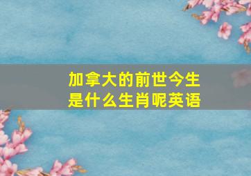 加拿大的前世今生是什么生肖呢英语