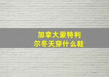 加拿大蒙特利尔冬天穿什么鞋