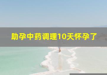 助孕中药调理10天怀孕了