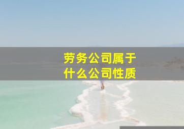 劳务公司属于什么公司性质