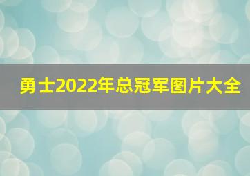 勇士2022年总冠军图片大全