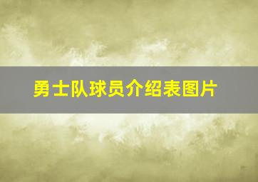 勇士队球员介绍表图片