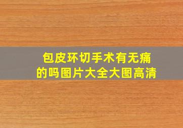 包皮环切手术有无痛的吗图片大全大图高清