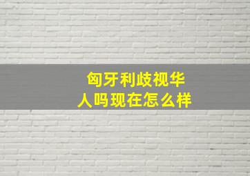 匈牙利歧视华人吗现在怎么样