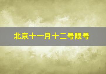 北京十一月十二号限号