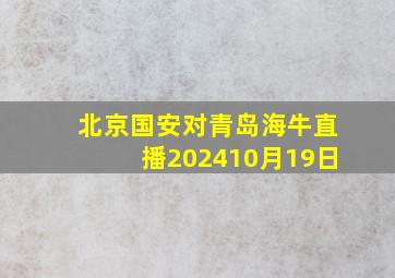 北京国安对青岛海牛直播202410月19日