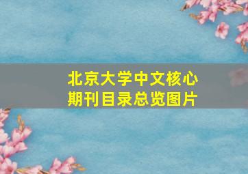 北京大学中文核心期刊目录总览图片