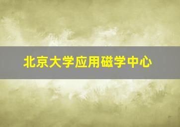 北京大学应用磁学中心